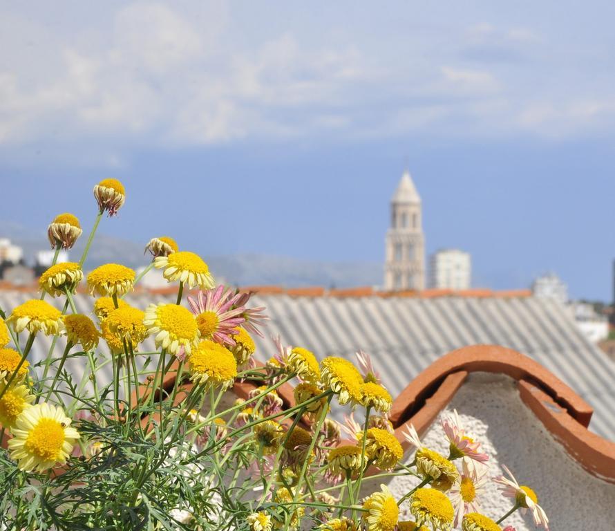 Villa Stagnja Split Zimmer foto